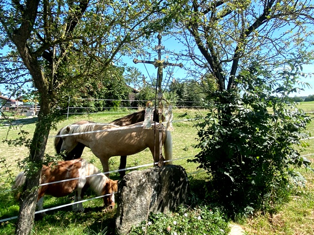 Ankenreute, Arma-Christi-Kreuz