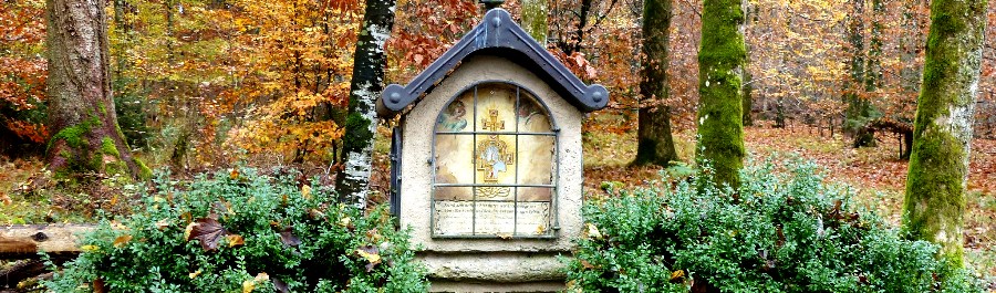 Grafenbild, mitten im Wald, Bergatreute