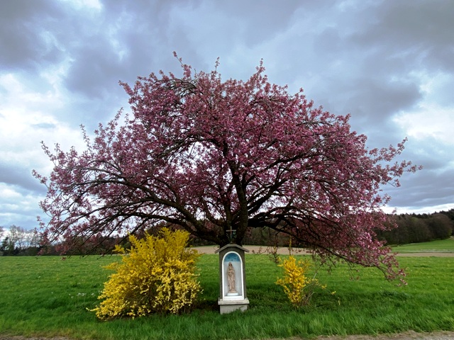 Bildstock in Neuurbach im Frhling