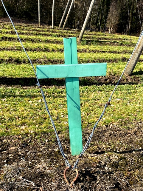 Grnes "Protestkreuz" der Landwirtschaft