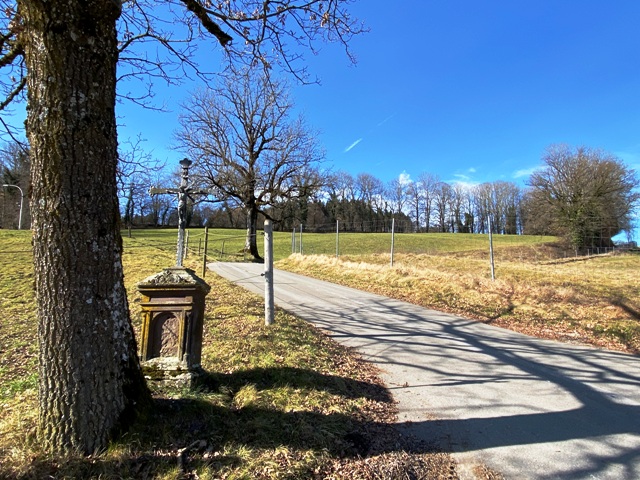 Kreuz und Baum nebeneinander in Bodnegg