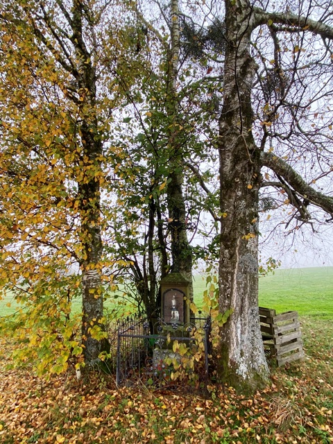 Bodnegg Wegkreuz mit Wendelin