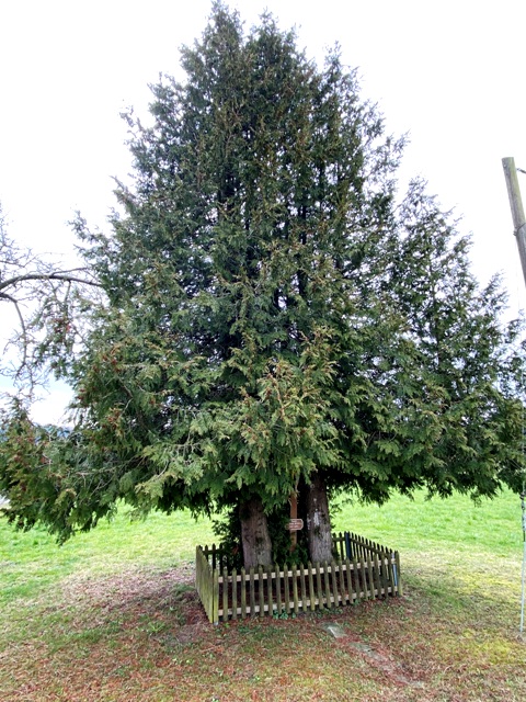 Wegkreuz bei Gerazreute