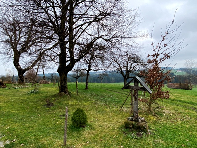 Holzkreuz in Haldenberg