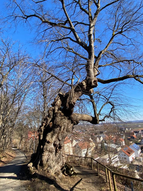 Erolzheim, Kreuzweg, Anlage