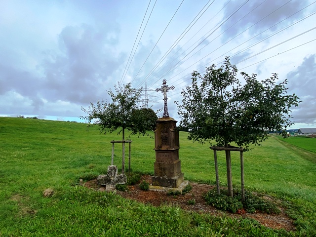 Haisterkirch, Feldkreuz mit Shnekreuz