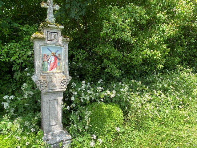 Sonderbuch, Anlage