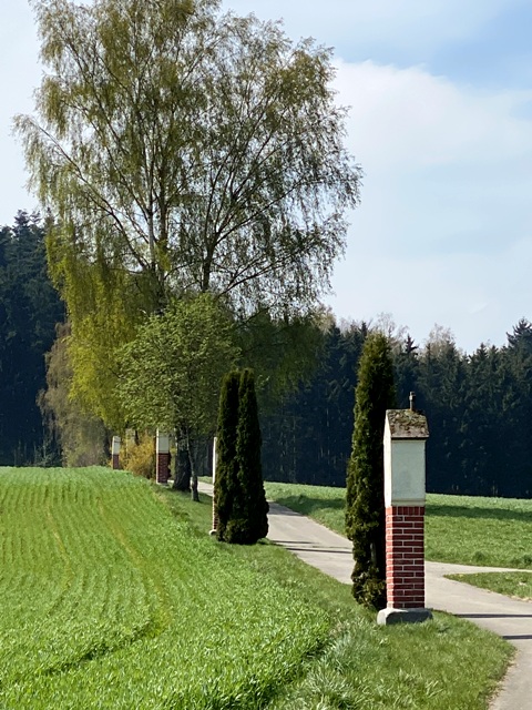 Kreuzweg von Heggbach Richtung Maselheim