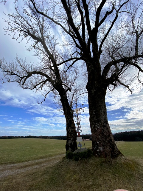 Ottmannshofen, Arma-Christi-Kreuz