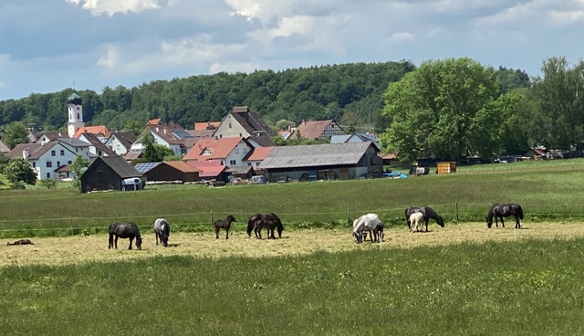 Anlage
